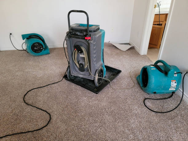 Best Flood damage cleanup  in Vineyard, CA