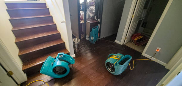 Best Basement water damage restoration  in Vineyard, CA