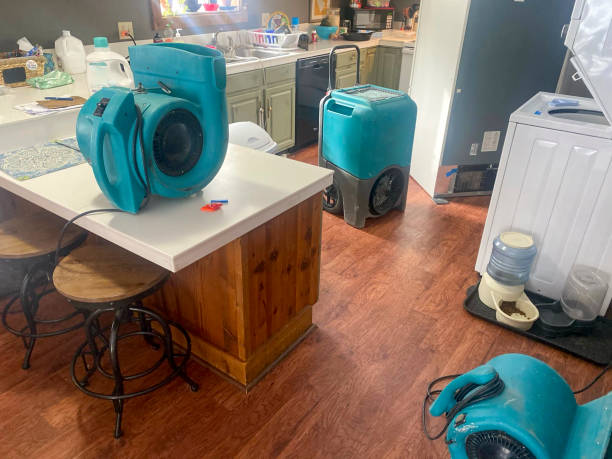 Best Carpet water damage restoration  in Vineyard, CA