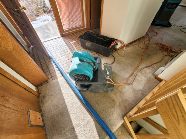 Best Fire Damage Restoration  in Vineyard, CA