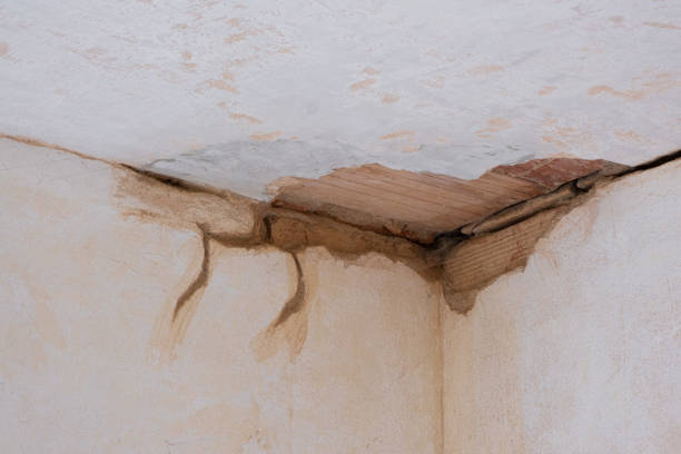 Best Water damage contractors near me  in Vineyard, CA