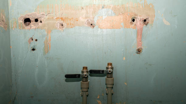 Carpet water damage restoration in CA