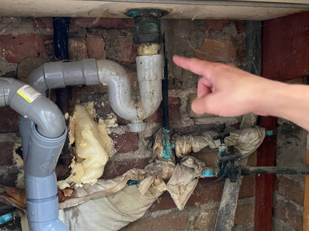 Best Local water damage restoration  in Vineyard, CA
