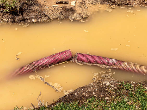 Best Water damage restoration near me  in Vineyard, CA