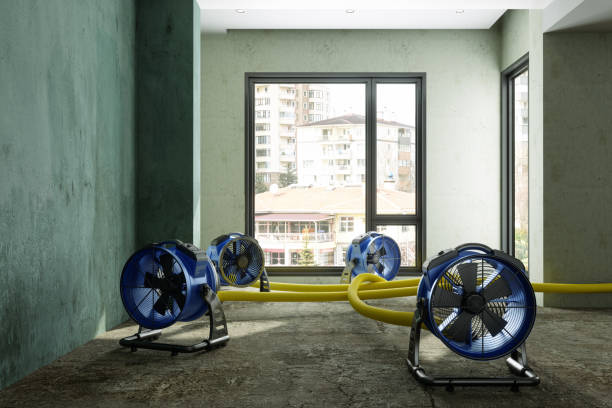 Best Carpet water damage restoration  in Vineyard, CA